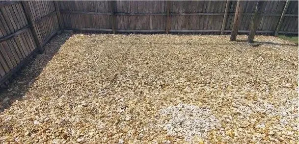 After: Fenced backyard weed clearing