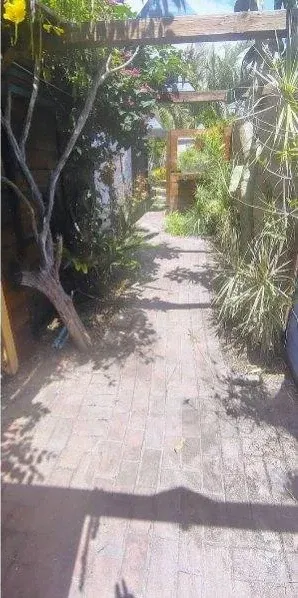 After: Overgrown garden path cleanup