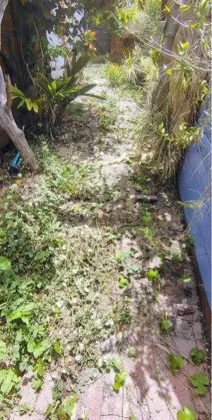 Before: Overgrown garden path cleanup