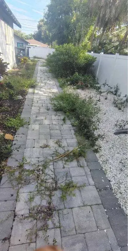 Before: Paver walkway & rock bed rescue