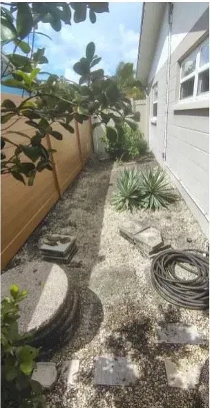 After: Side-yard cleanout
